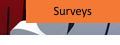 Surveys